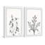 Ortie et eucola Diptyque-698858057