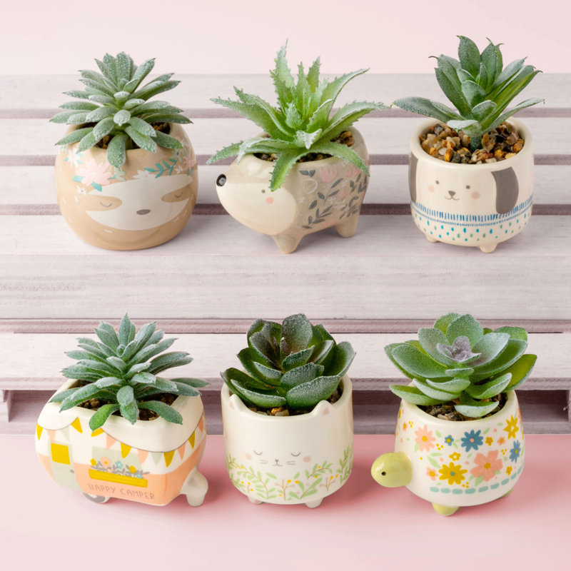Shaped Succulent Pot Strawberry