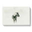 Wild Horse in Iceland in Abstract - Wrapped Canvas-55303293