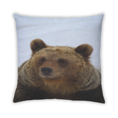 Coussin 30