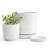 Set of 2 Modern Floral Embossed Ceramic Planter Pots - 4" & 6" with Drainage Hole and Saucer
