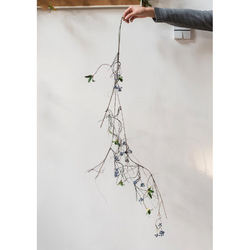 Berry Arrangement