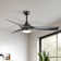 Nicola 52" 3-Blade Standard Ceiling Fan With Remote and Led Light