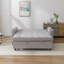 Aryel 2-Seater Sofa Bed-1737878242