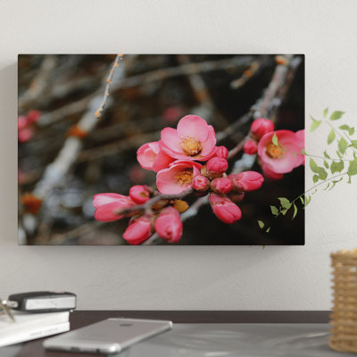 «Crabapple Tree Blossoms» par Savanah Plank - reproduction de photo sur toile tendue