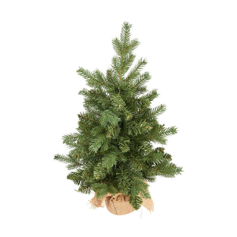 Christmas Tree with String Lights
