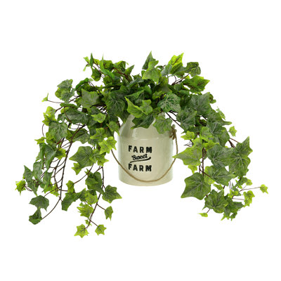 Rio Faux Ivy Plant in Ceramic Pot