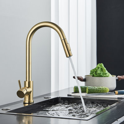 Belfry Kitchen Serita Pull Out Kitchen Faucet