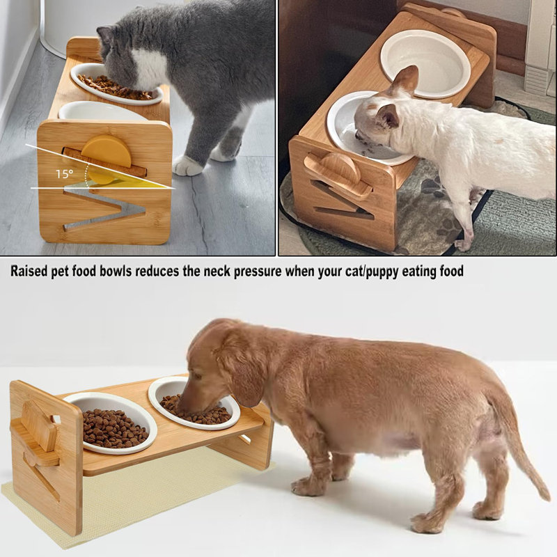 Elevated Feeder