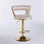 Chaise de bar de style moderne (ensemble de 2) avec pieds en fer de couleur dorée, coussins moelleux et dossier confortable-1580418225