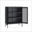Accent Cabinet In Black-1639938326