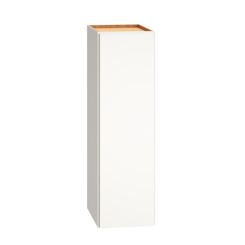 Armoire murale à 1 porte avec 2 tablettes réglables Dwelling Rosemont, Blanc, H 30 po x l 9 po x P 12 po