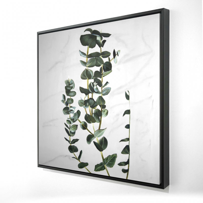 «Tiges d'eucalyptus»