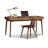 Estelle 18.5'' H Solid Wood Side Chair-10973408