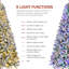 Christmas Tree-249465687