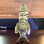 Statue poisson Discus