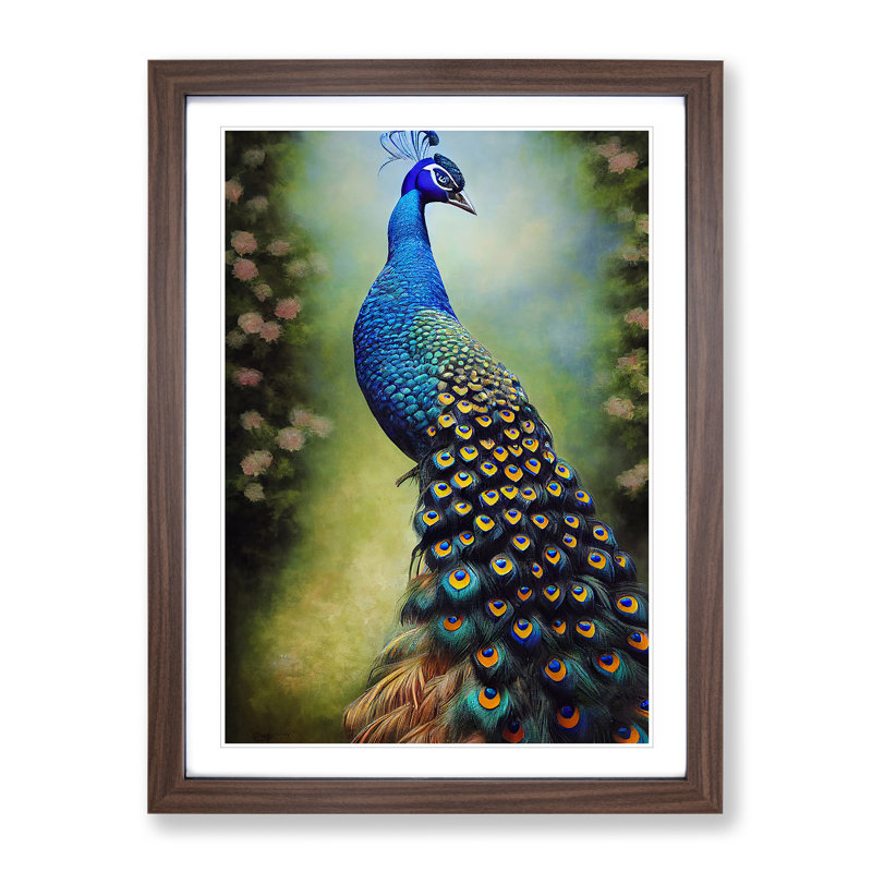 View Of A Peacock No.2 - Single Picture Frame Print, 46cm H x 34cm W x 2cm D, Brown Framed