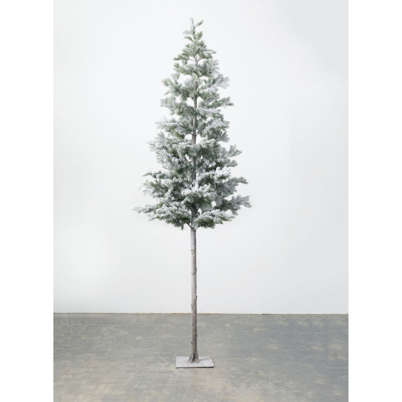 100' Pine Christmas Tree