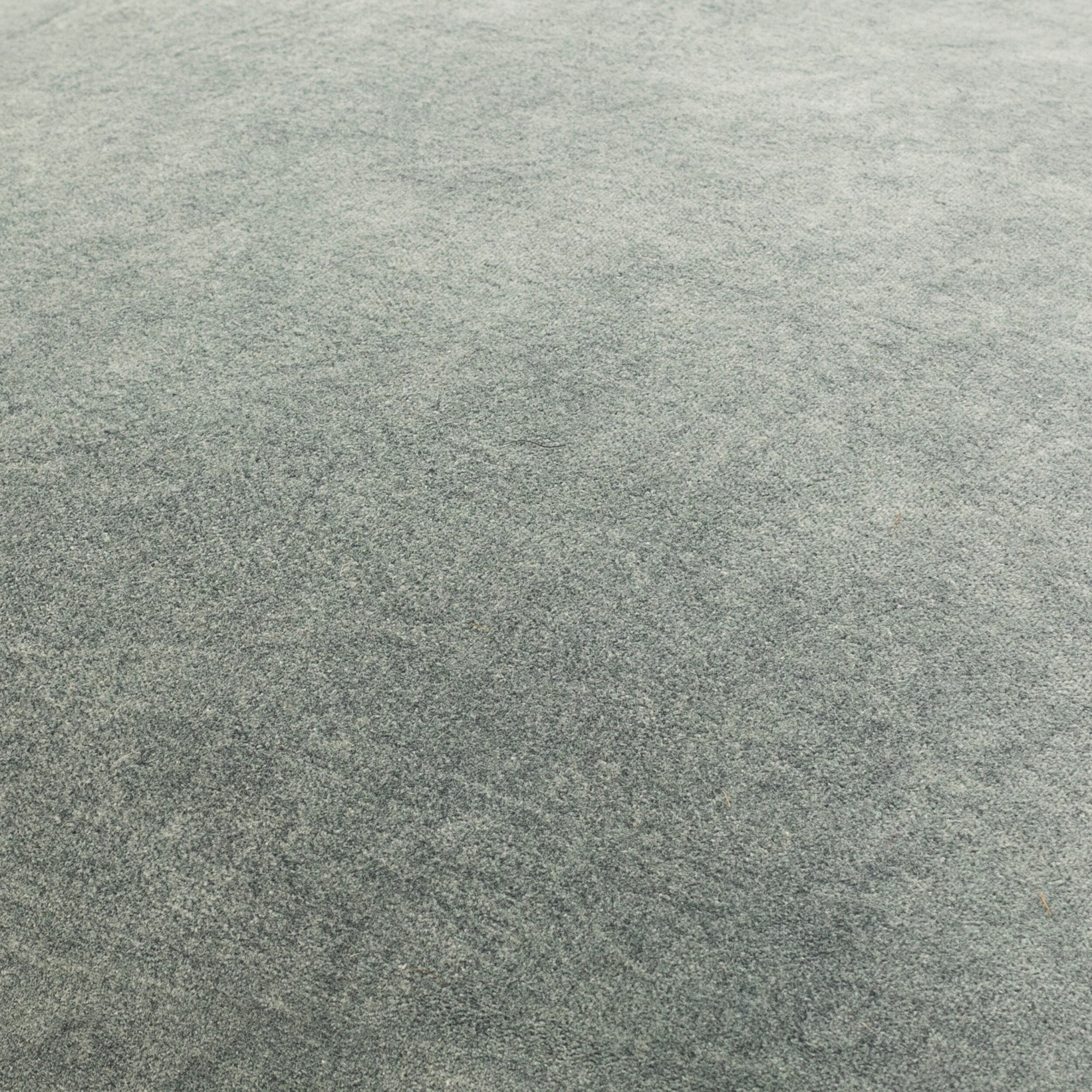 Steph Fringed Cotton Throw Pillow, 22" x 22", Sage, Pillow Cover Only - No Insert