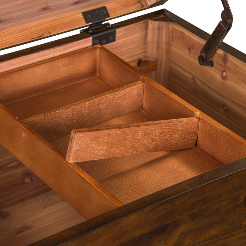Hornbeck Storage Trunk Living Room Table