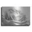 "Rose III" par Lori Deiter-985868737