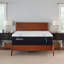 TEMPUR-Adapt® Medium 11" Mattress-1871213386