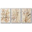Parchemin corail I, ensemble de 3 toiles encadrées-97711068-97711065