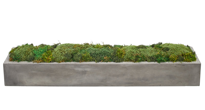 Moss Mound,Rectangle Planter Concrete, 31.5wx7dx5.5h