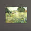 Vincent Van Gogh - Wrapped Canvas Painting-21212681