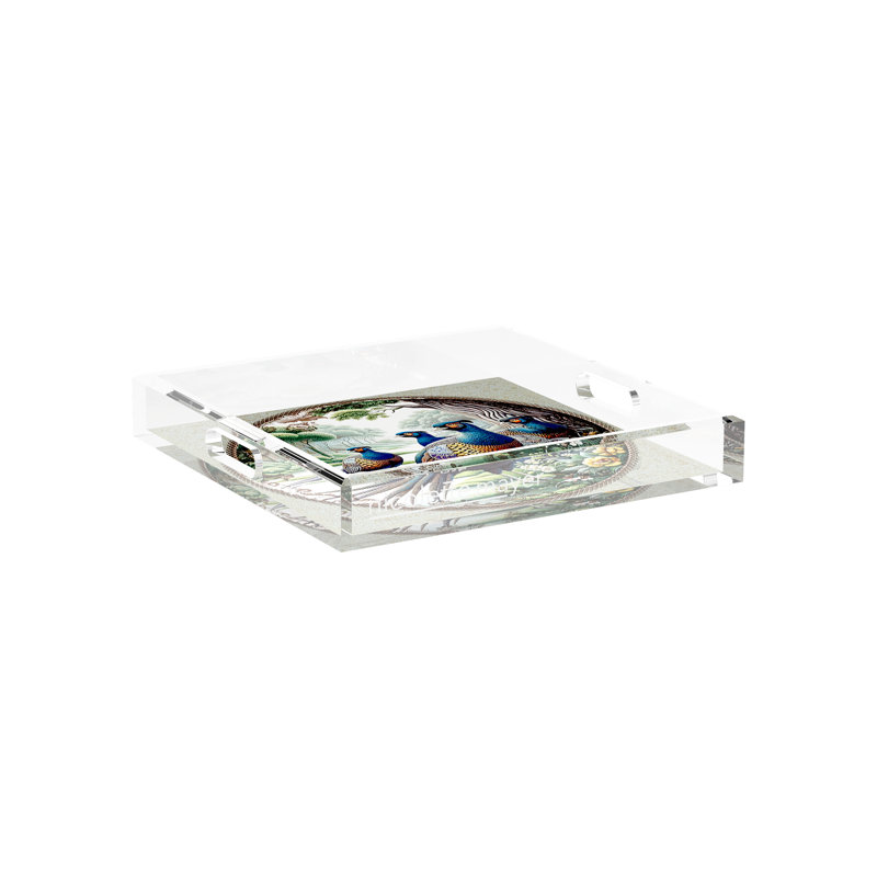 Acrylic Decorative Tray