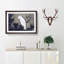 White Cockatoo on a Pine Branch by Ito Jakuchu - Picture Frame Art Prints on MDF-55612888-55612890
