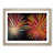 Oak Frame