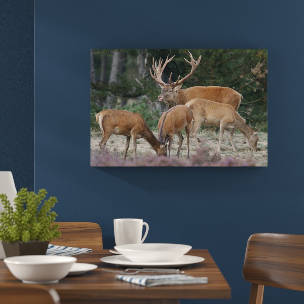 Leinwandbild „Hirschfamilie auf Waldlichtung" von martha de jong-lantink, Fotodruck