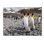 Art mural sur toile tendue - Karen Lunney «Penguins Of Salisbury Plain», art mural pour salon, chambre à coucher ou bureau - 35 x 47