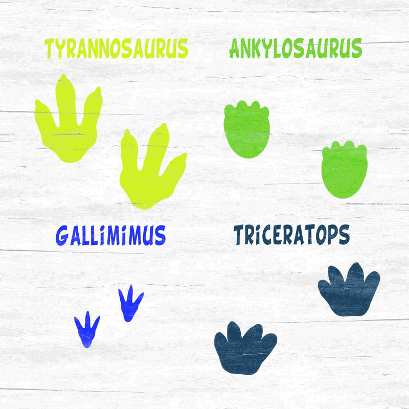 Dinosaur Foot Prints par - on, L 20 po x H 20 po