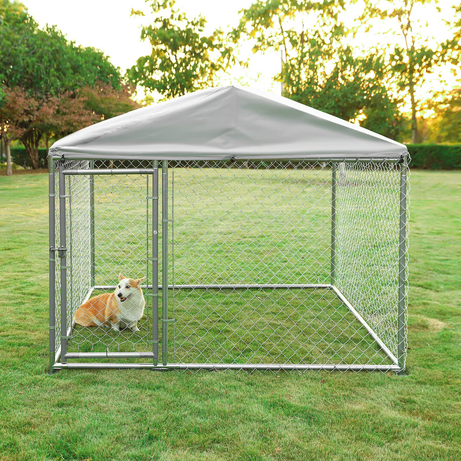 Outdoor kennel best sale with roof