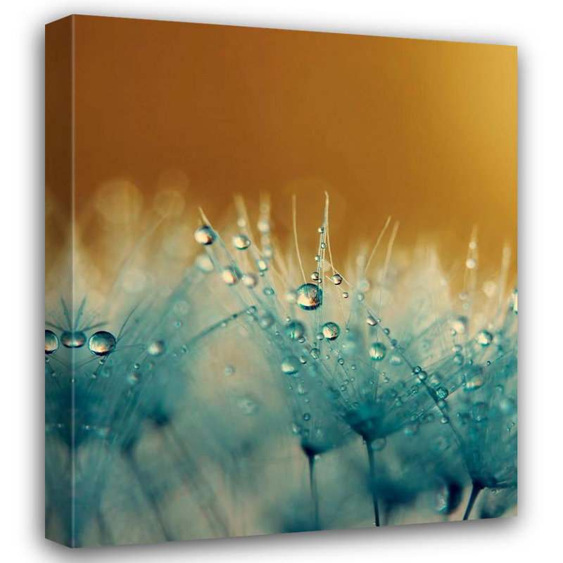 Art sur toile tendue par Lid Manor ™ par Lark Manor ™: satin, H 42 po x l 36 po