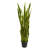Sansevieria Artificial Plant