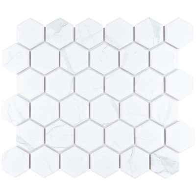 Carrione 2" Hex 11-1/8" x 12-5/8" Porcelain Mosaic Tile
