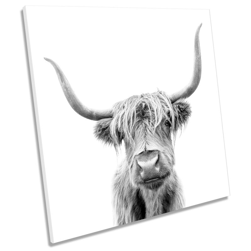 Z1125 Highland Cow - Wrapped Canvas Print, 60cm H x 60cm W x 2cm D