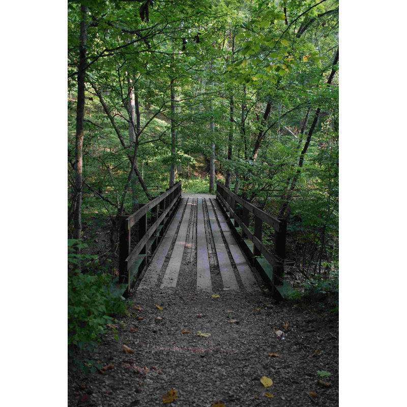 Forest Bridge - Photographie sur toile tendue, H 30 po x l 20 po
