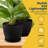 Plant Pots with Drainage & Saucers, Indoor & Outdoor Planters for Houseplants, Herbs, and Flowers, Durable & Weatherproof Material, Stackable, Lightweight, Minimalist Design, Pack of 12-229664095-229664088