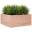 Wood Planter Box