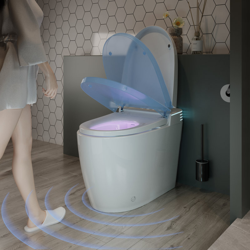 Tankless Smart Toilet With Built In Bidet, One-Piece Bidet Toilet Auto Flush With Auto Open/Close Heated Seat, Warm Water And Dry, Adjustable Temp, Remote Control Side Know