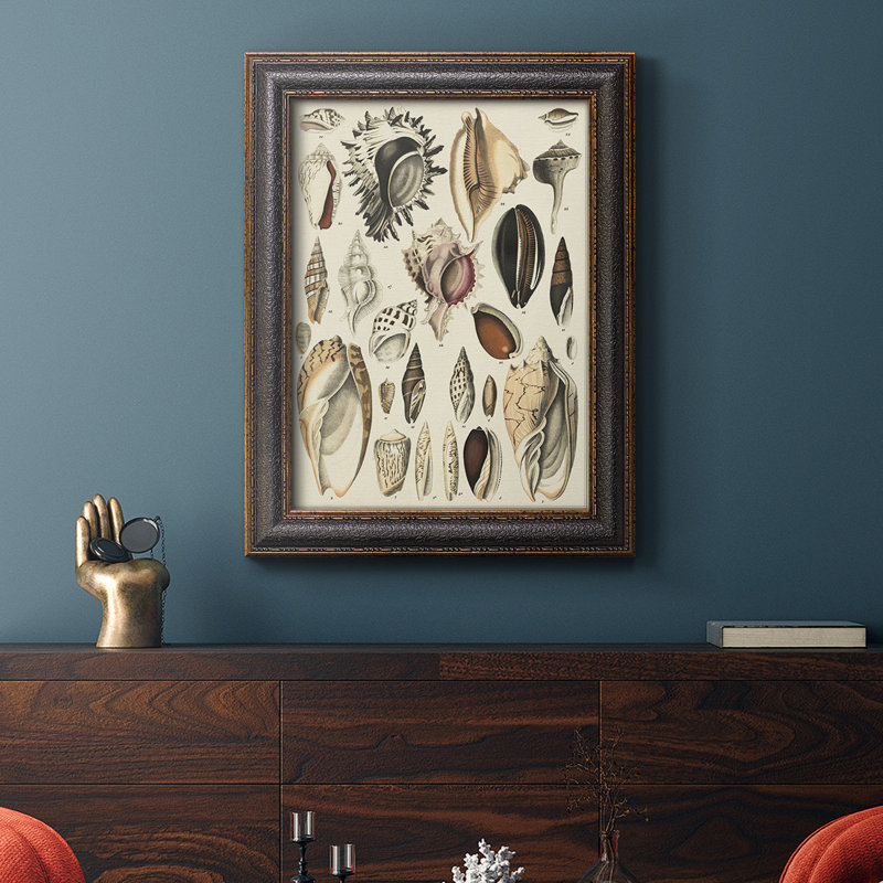 Seashell présent sur toile de qualité supérieure - prêt à être accroché, H 27 po x l 18 po x P 2,5 po