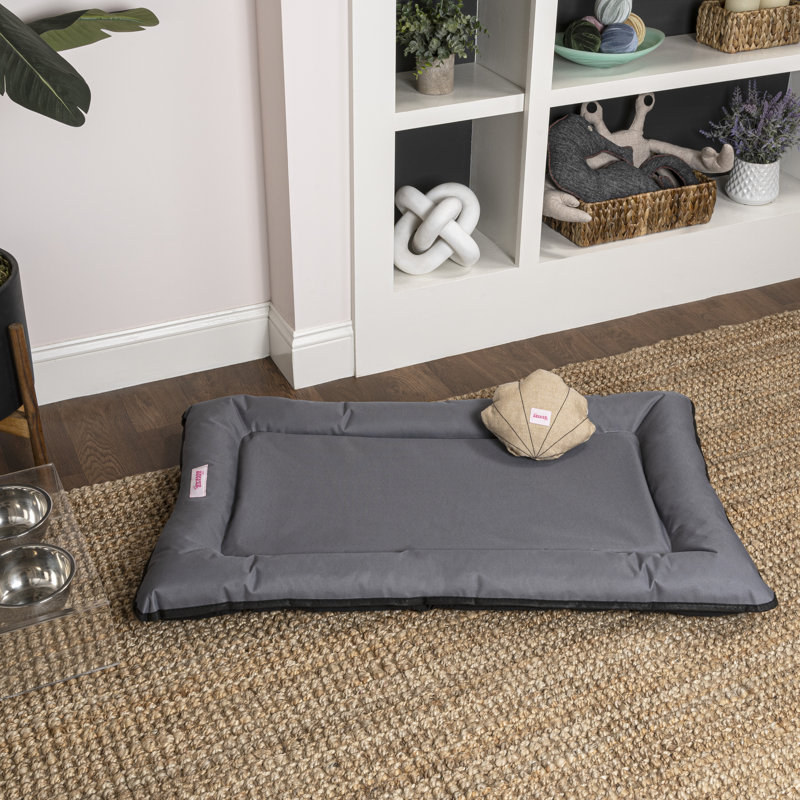 Lit de camping en mousse à mémoire de forme Archie, Gris anthracite, Moyen (l 29,5 po x P 22,5 po x H 3 po)