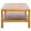 Omara 1 Shelf Coffee Table-128936197
