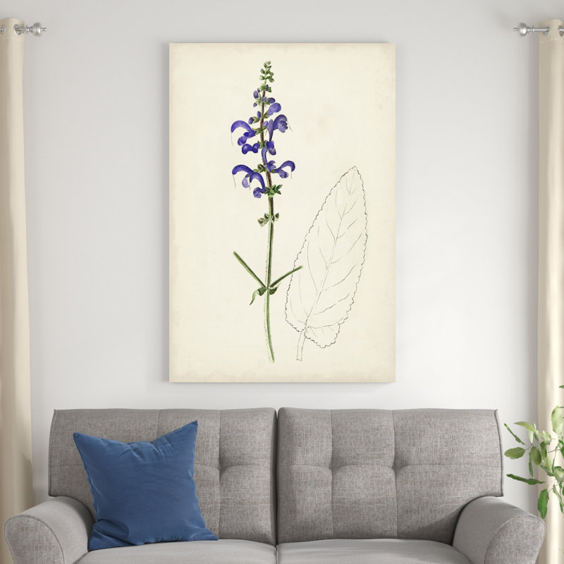 Aquarelle, croquis botaniques X - peinture sur toile tendue, H 48 po x l 32 po