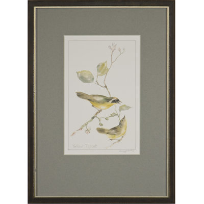 Yellow Throat Print by Daughdrill