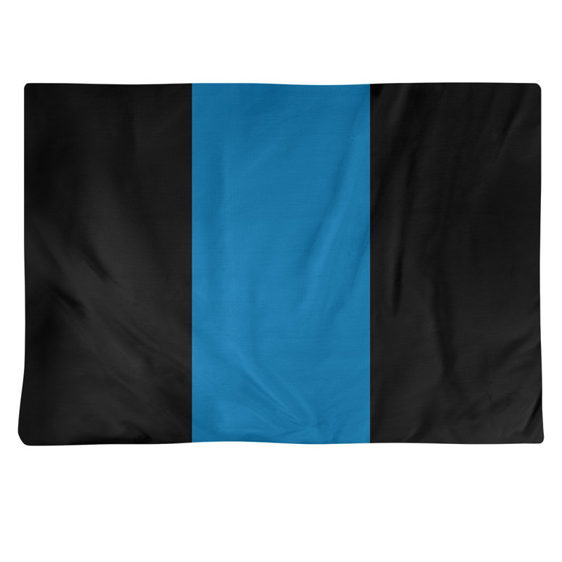 Récapitulatif en coton 18 po football Detroit, Noir / bleu